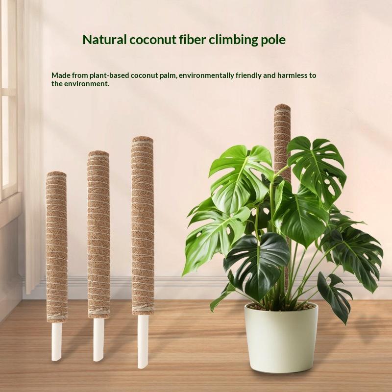 Vine Climbing Plastic - 1 Stuks Plantengroei Tractiestaaf Plant Klimmen