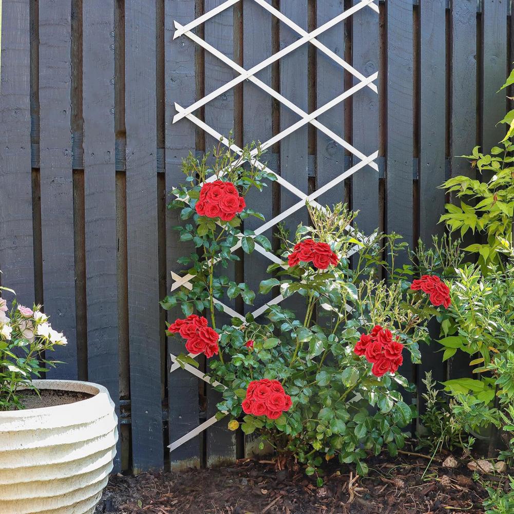 Vine Climbing Plastic - Uitklapbaar tuinrooster 70 x 12 inch