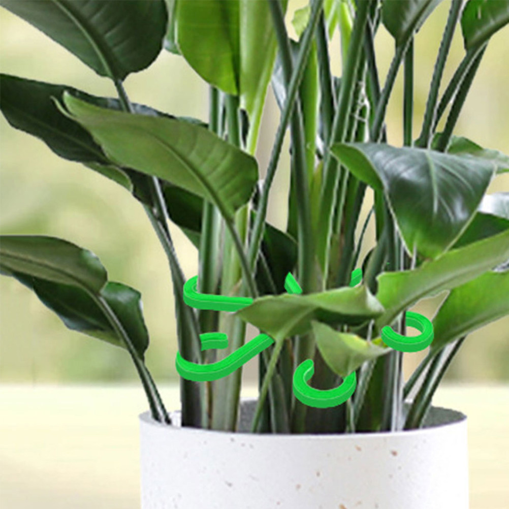 Vine Climbing Plastic - 12 stuks plantensteunclips voor klimplanten, herbruikbare