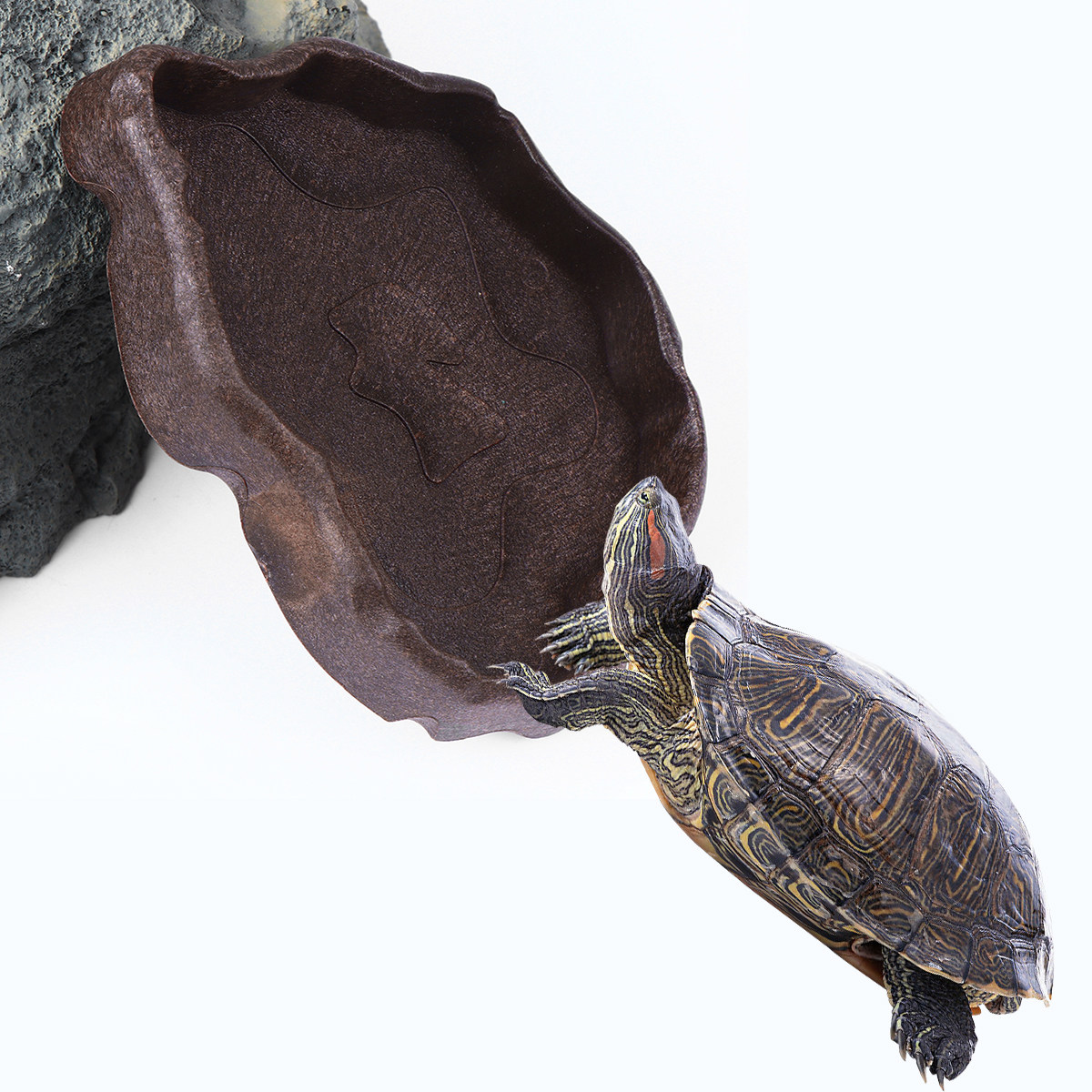Reptielenhars Voedselschaal Ko - Water Dish Reptile recensie en prijs