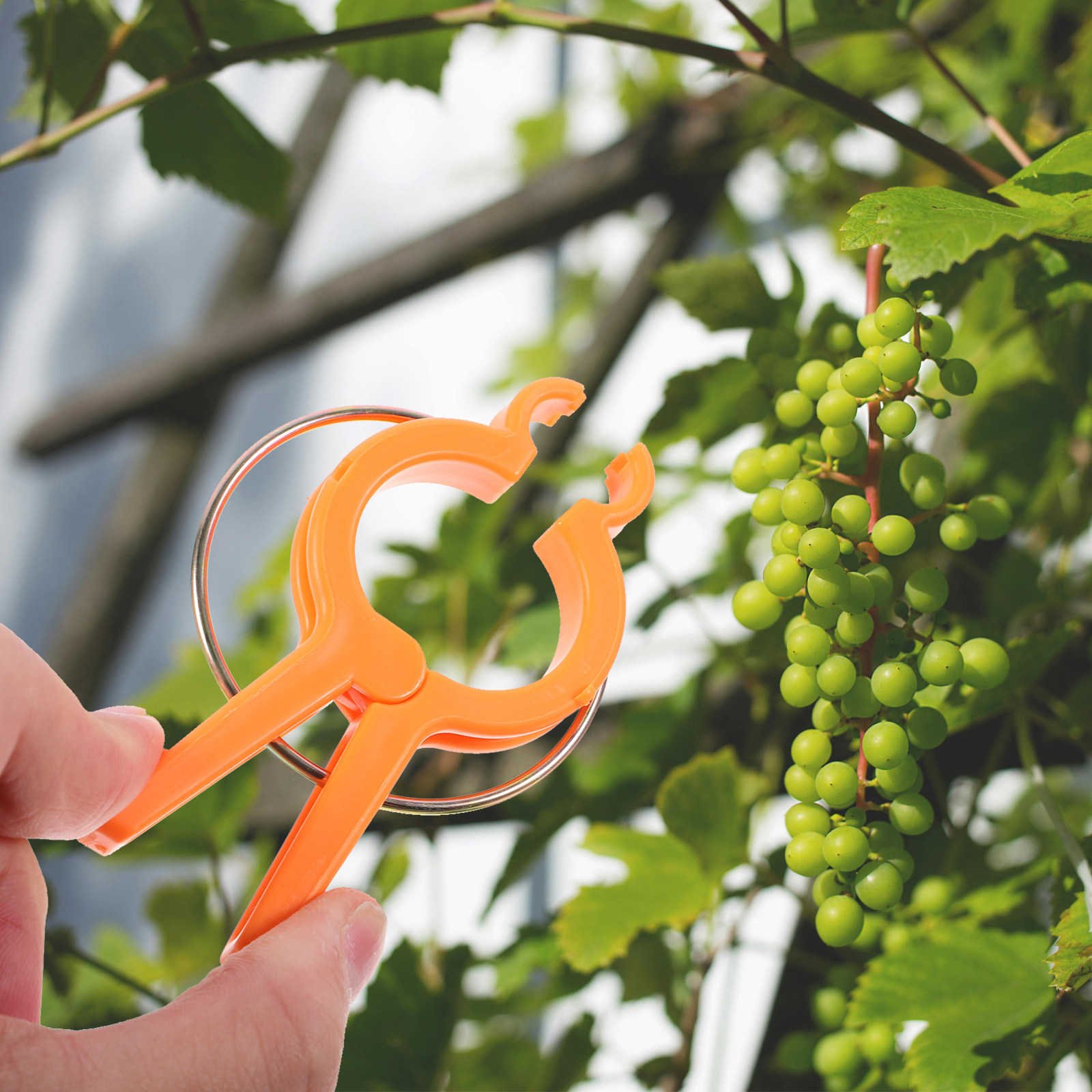 12 stuks plantensteunclips voo - Vine Climbing Plastic recensie en prijs