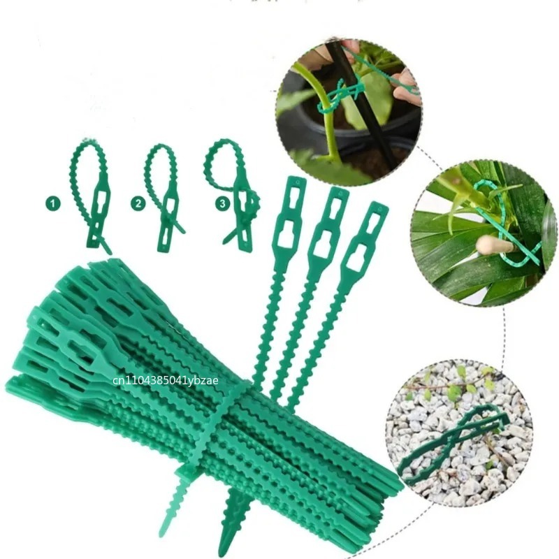 50-1000 Stuks Verstelbare Plas - Vine Climbing Plastic recensie en prijs