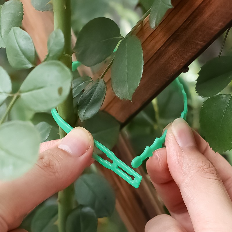 Groothandel Herbruikbare Plant - Vine Climbing Plastic recensie en prijs