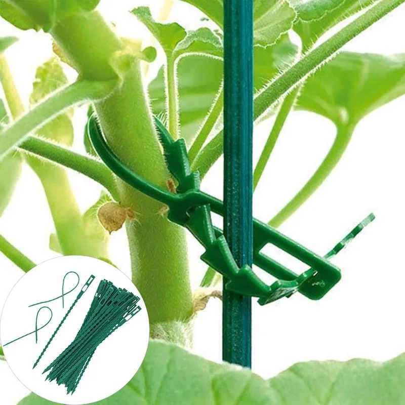 Groothandel Herbruikbare Plant - Vine Climbing Plastic recensie en prijs