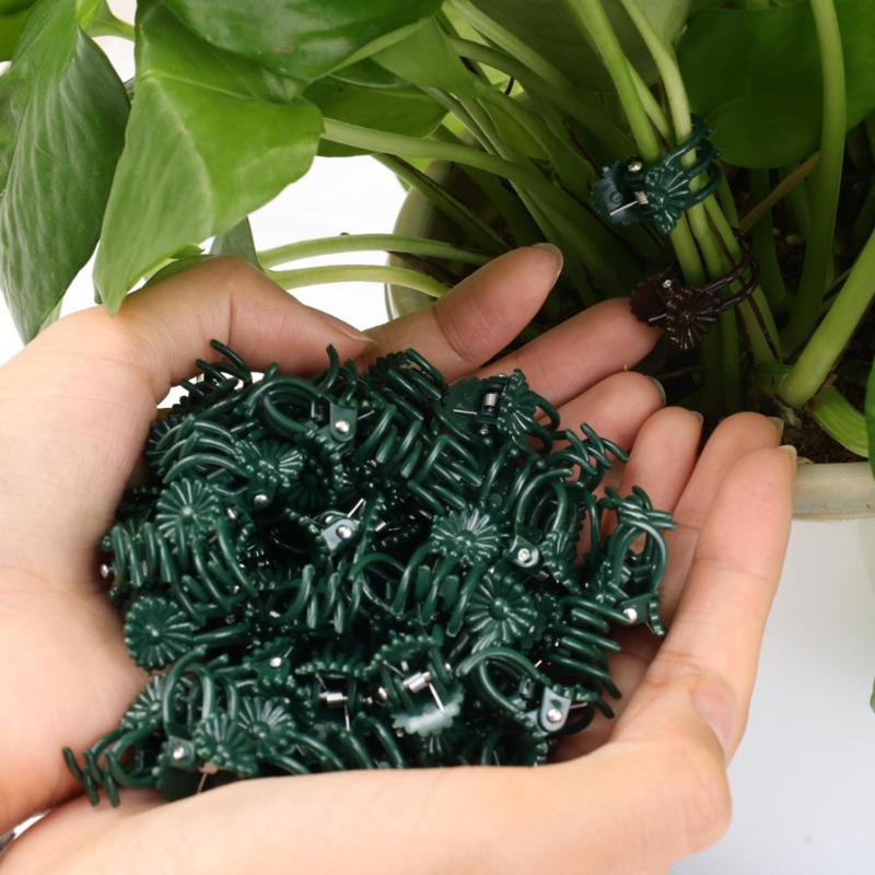 Groothandel Mini Plantensteunc - Vine Climbing Plastic recensie en prijs