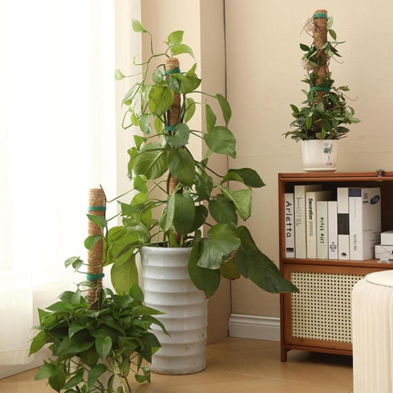 1 Stuks Plantengroei Tractiest - Vine Climbing Plastic recensie en prijs