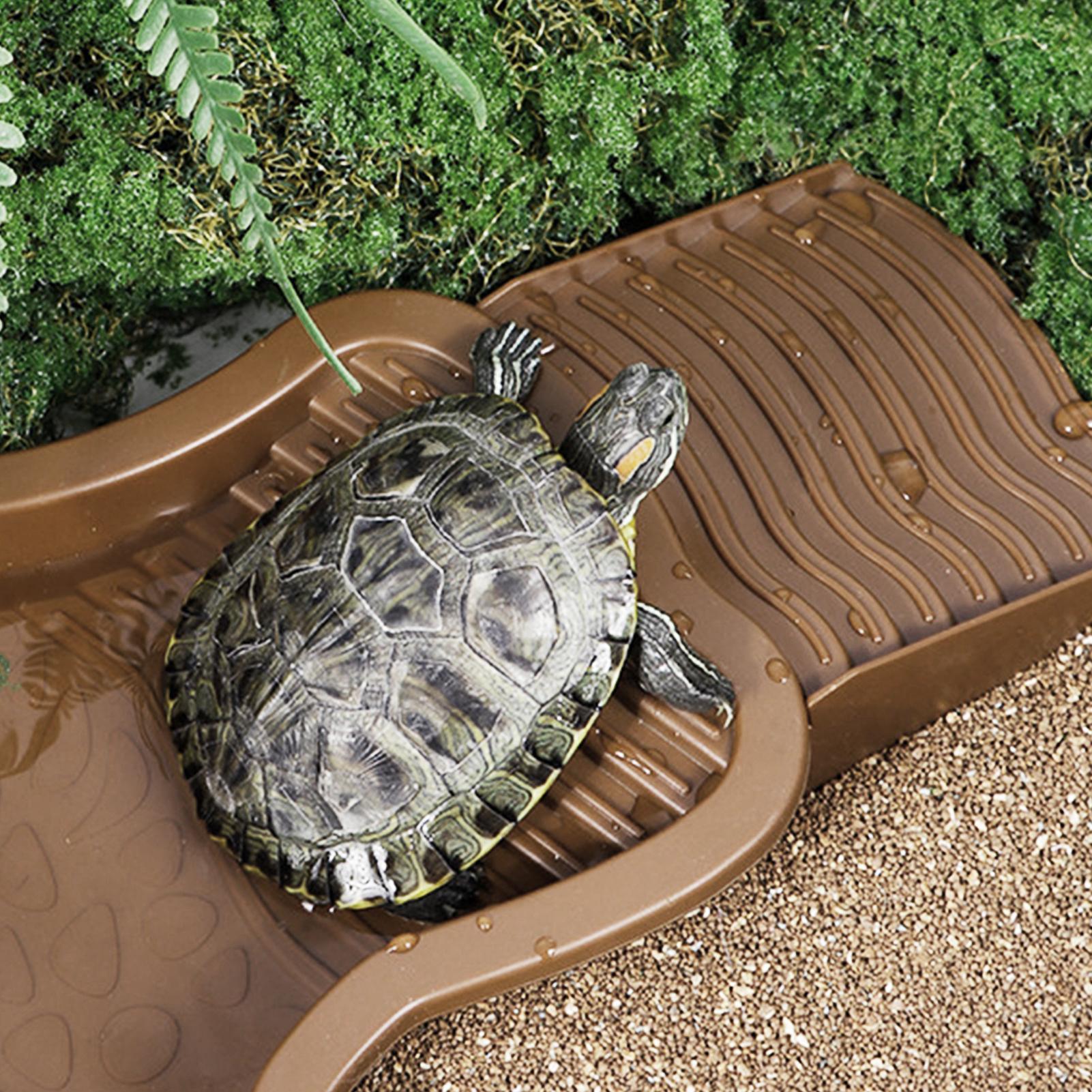 Reptiel Badbad met Oprit Schil - Water Dish Reptile recensie en prijs