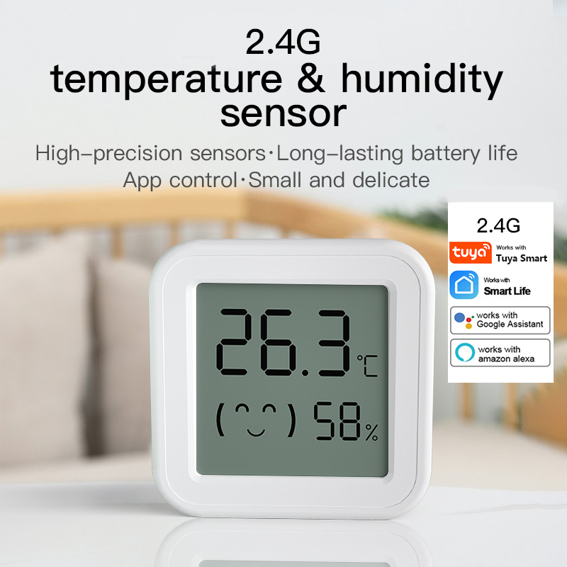 Bluetooth Temperatuur-vochtigh - Digital Hygrometer Probe recensie en prijs