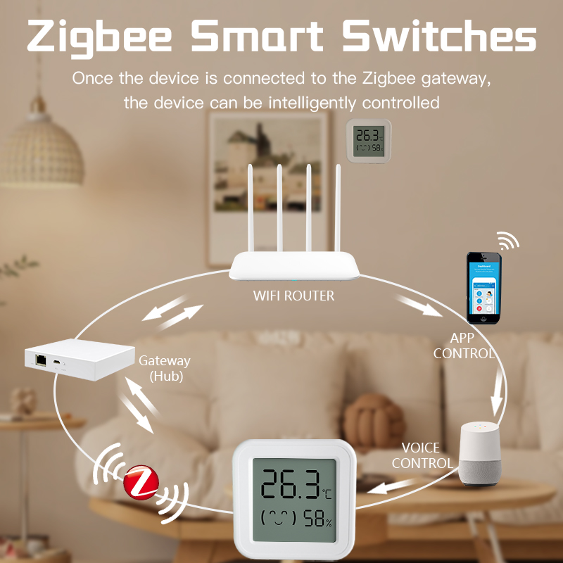 Bluetooth Temperatuur-vochtigh - Digital Hygrometer Probe recensie en prijs