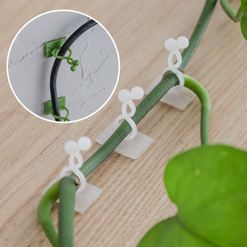 10 stuks plantenmuurbevestigin - Vine Climbing Plastic recensie en prijs