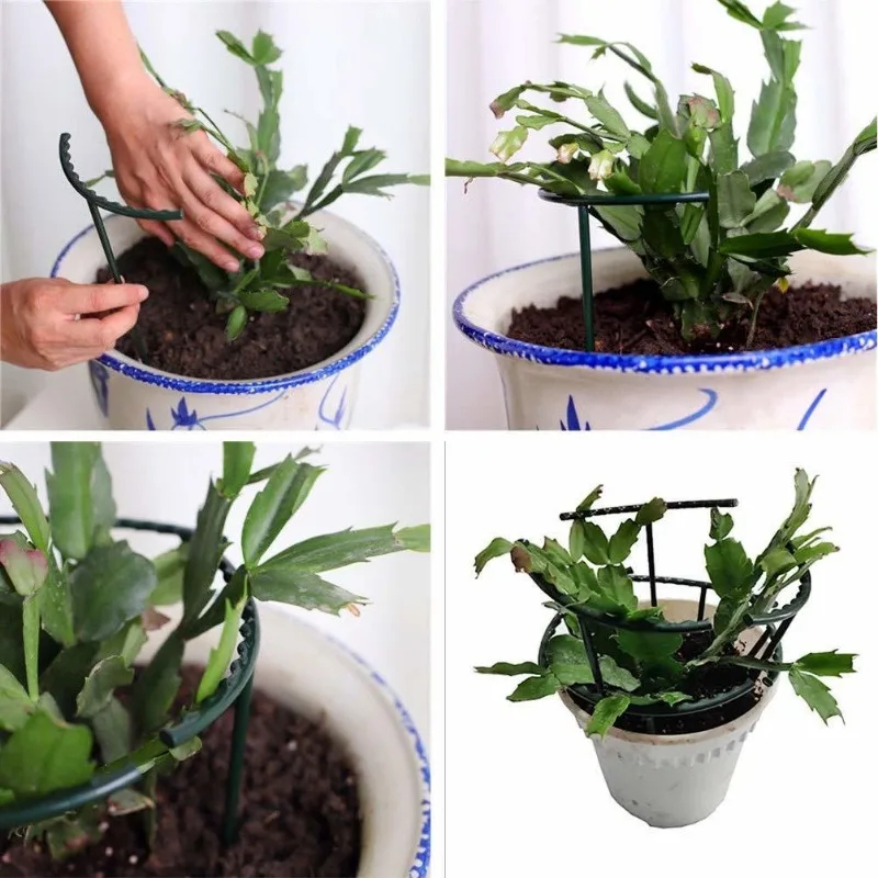 1-9set Plastic Plant Ondersteu - Vine Climbing Plastic recensie en prijs