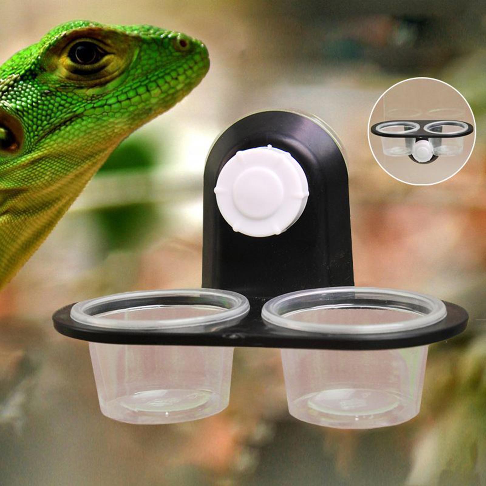 Gecko Voedselbak Gecko Waterba - Water Dish Reptile recensie en prijs