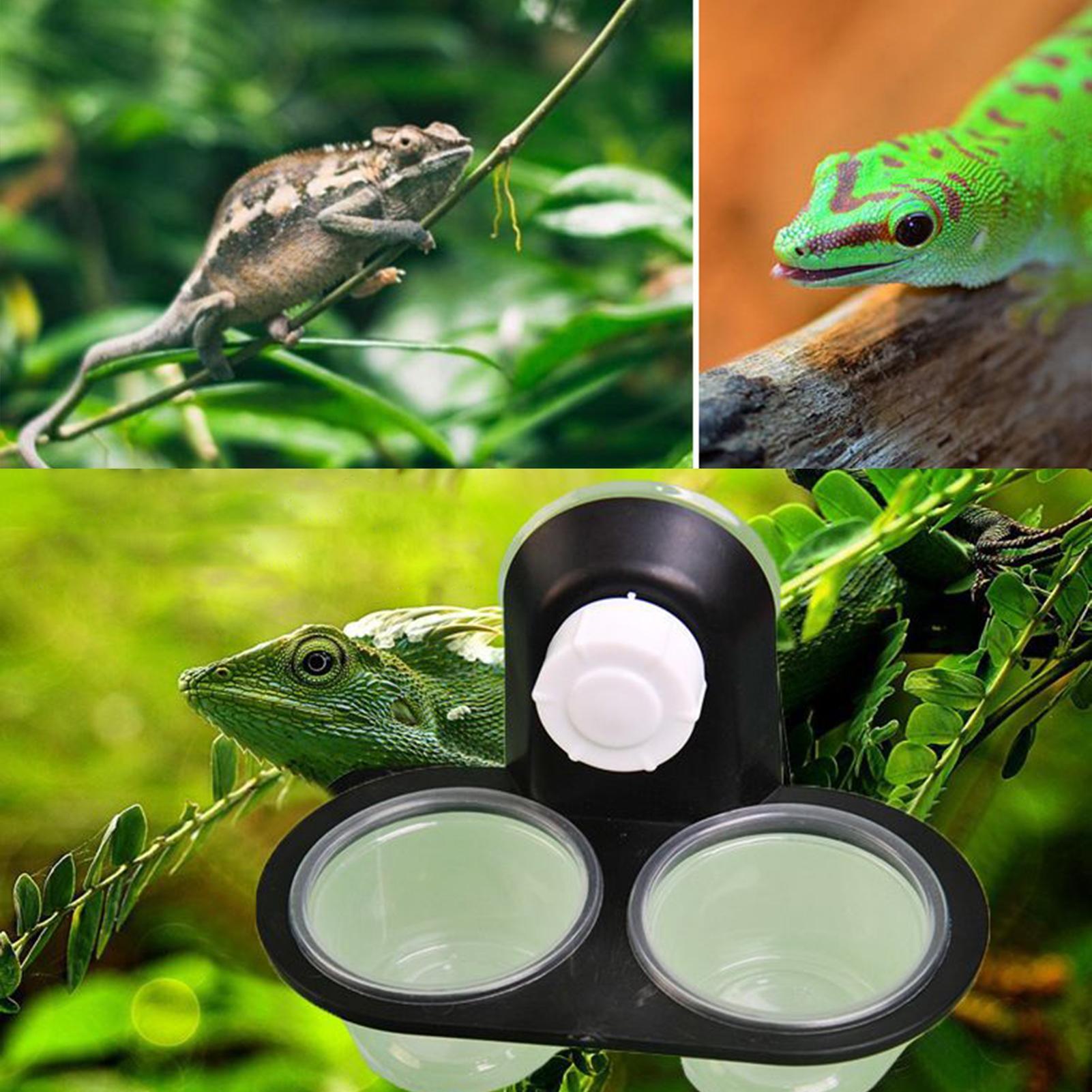 Gecko Voedselbak Gecko Waterba - Water Dish Reptile recensie en prijs