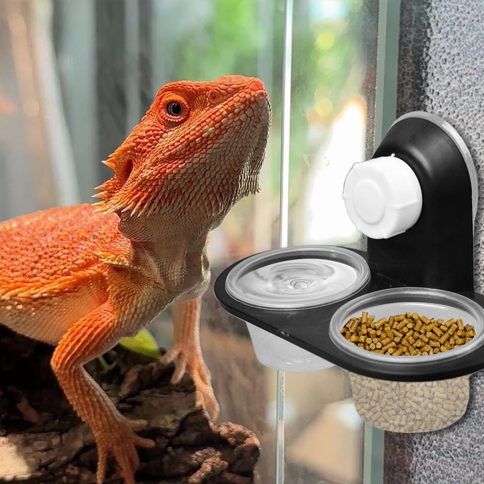 Gecko Voedselbak Gecko Voederb - Water Dish Reptile recensie en prijs