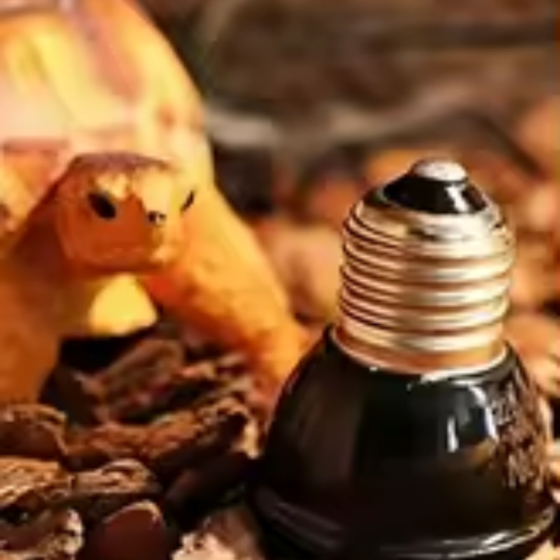 Reptielen Keramische Warmte-em - Ceramic Heat Emitter recensie en prijs