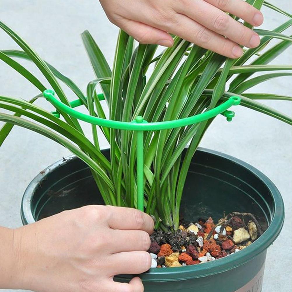 Verstelbare groene geruite tui - Vine Climbing Plastic recensie en prijs