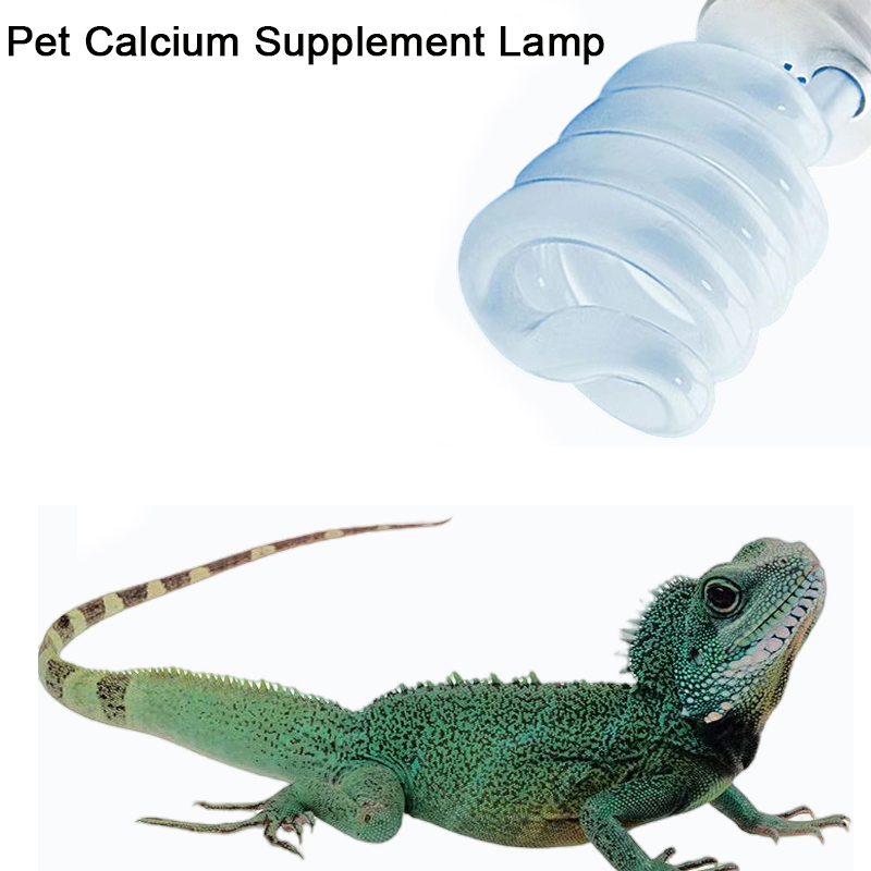 E27 13W/26W Reptiel Uvb Lamp C - Calcium Powder Reptile recensie en prijs