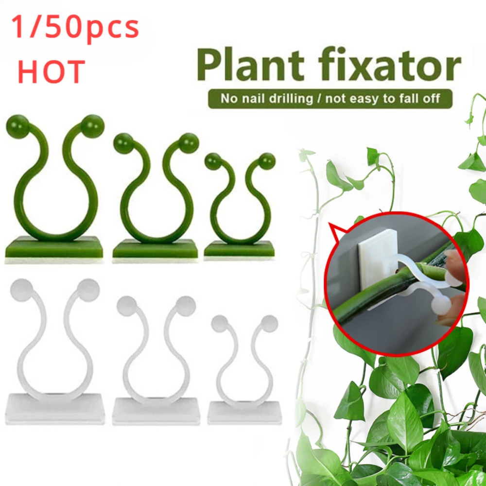 1/30/50 Stuks Voor Tuin Access - Vine Climbing Plastic recensie en prijs
