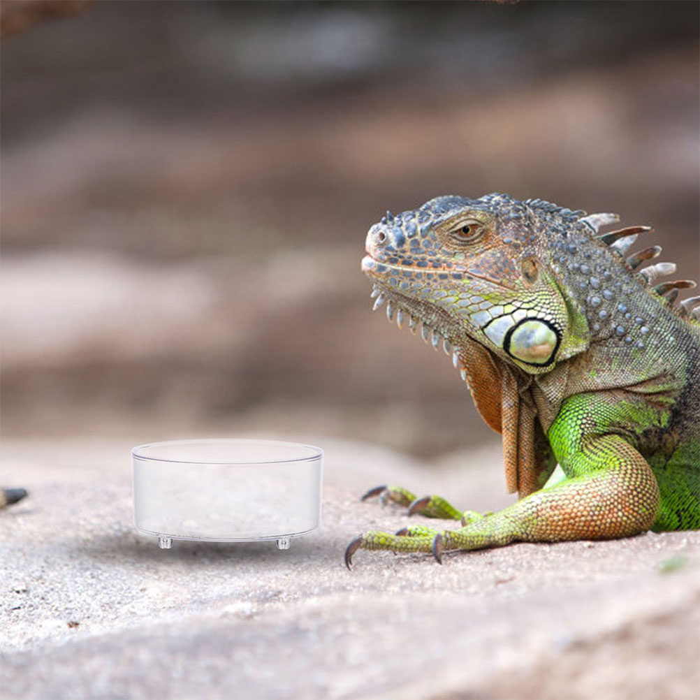 10 Stuks Acryl Reptiel Voedsel - Water Dish Reptile recensie en prijs