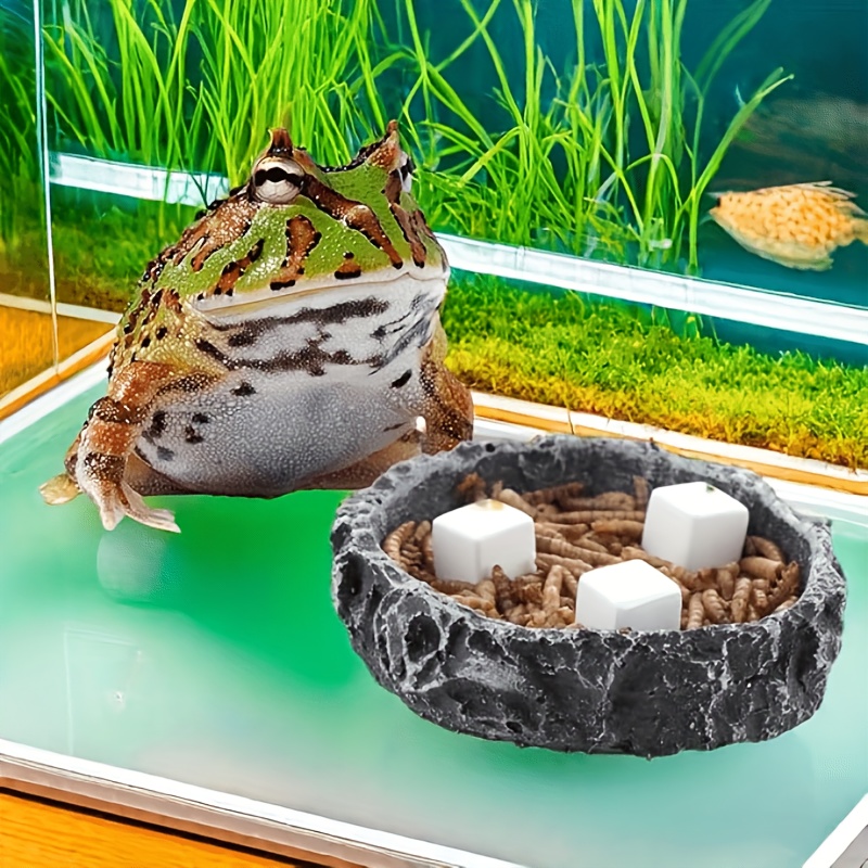 6 Stuks Aquarium Calcium Blok  - Calcium Powder Reptile recensie en prijs