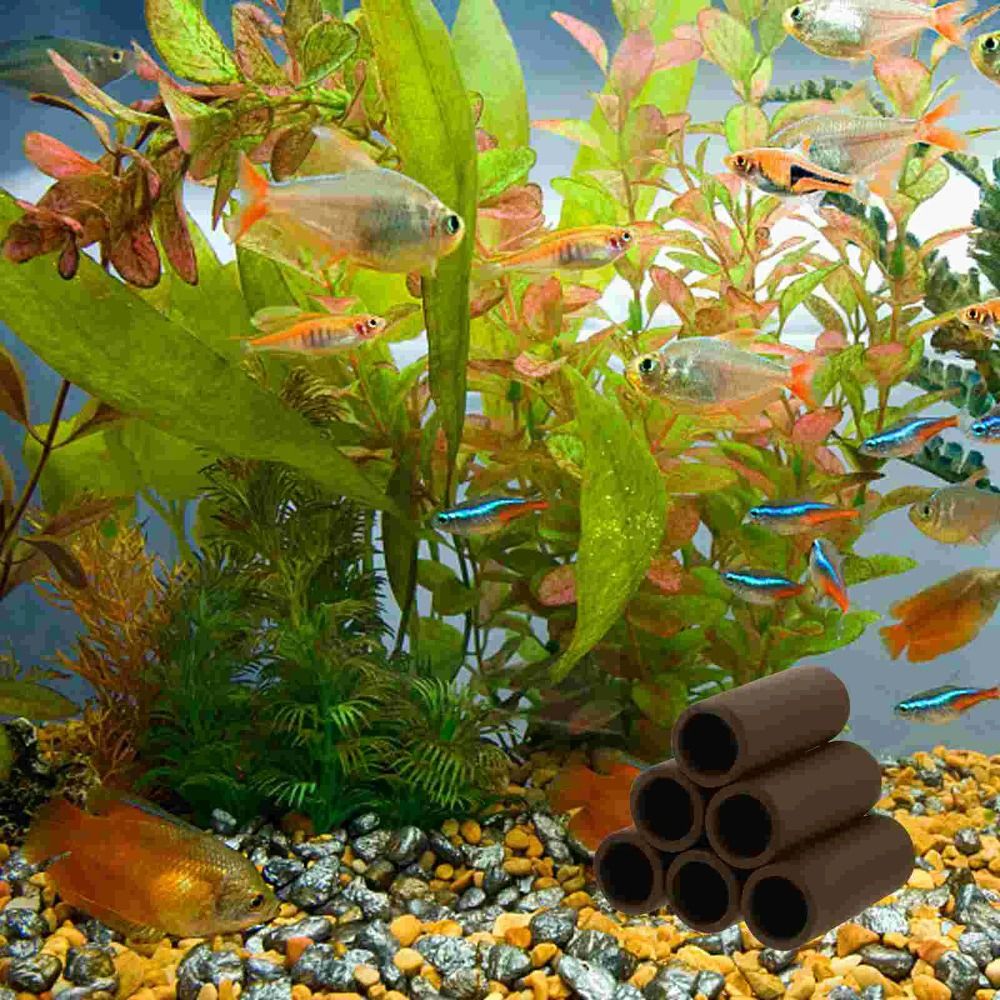 Spelen Fokken Paaien Aquarium  - Hide Cave Ceramic recensie en prijs