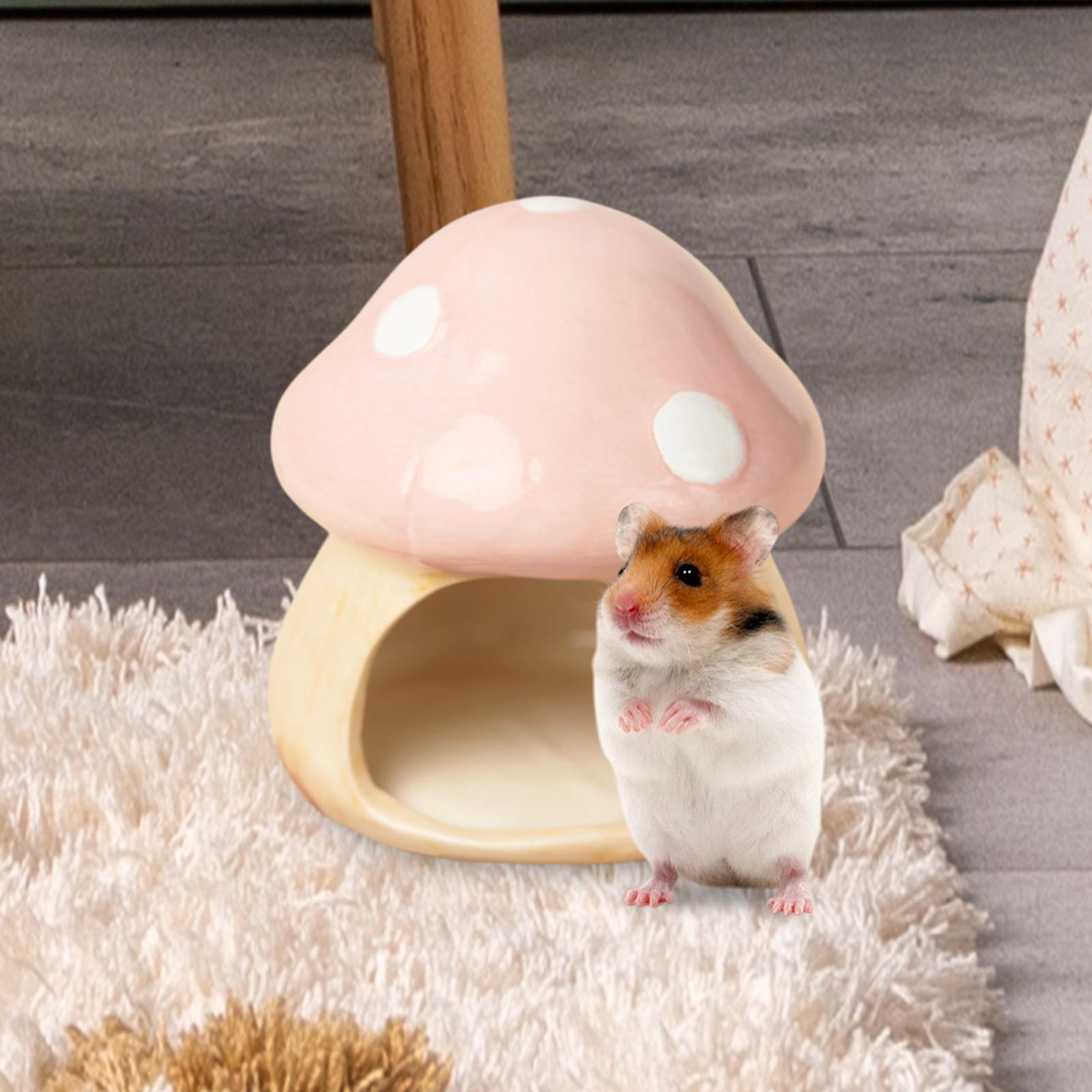Keramische Paddestoel Hamster  - Hide Cave Ceramic recensie en prijs